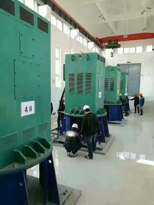 Y4001-2某污水处理厂使用我厂的立式高压电机安装现场安装尺寸