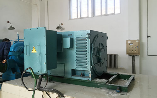 Y4001-2某水电站工程主水泵使用我公司高压电机