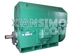Y4001-2YXKK(2极)高效高压电机技术参数