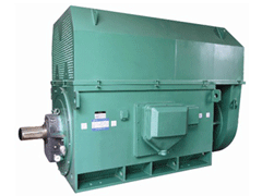 Y4001-2Y系列6KV高压电机